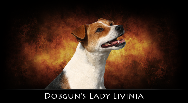 Dobgun's Lady Livinia
